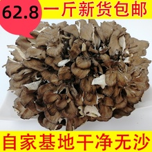 【头茬小花】庆元灰树花干无泥沙舞茸茶灰树菇栗蘑500g干货