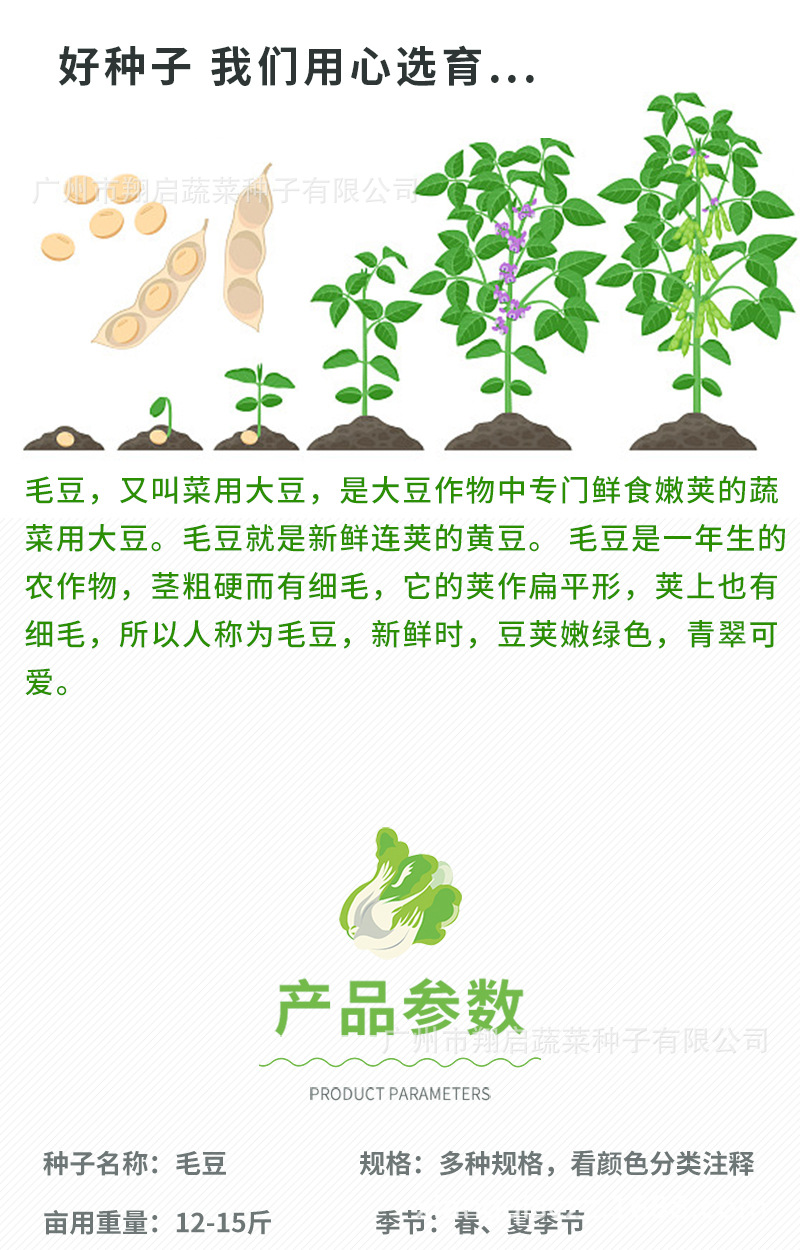 黄豆种籽鲜食毛豆种子早熟高产大豆种特大豆子春季青豆孑农家种植