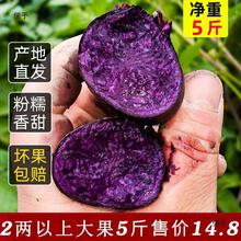 新鲜黑土豆净重5斤紫色大土豆黑金刚黑美人新鲜马铃薯黑土豆种子