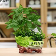 绿植物盆栽塑料花假花摆设家居客厅电视柜茶几装饰品摆件巧