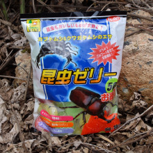 甲虫果冻彩虹锹甲独角仙饲料昆虫专用成虫食物混合黑糖蛋白水果跨