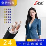 电线电缆纯铜ZR-YJV2芯10～300平无氧铜架空电力电缆线防火阻燃