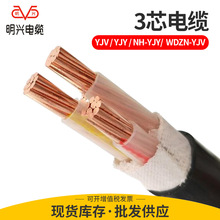 明兴电缆YJV3X10+2X6电力电缆 户外低压铜芯电缆线批发