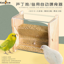 Parrot food box rutting chicken feeder automatic鹦鹉食盒1