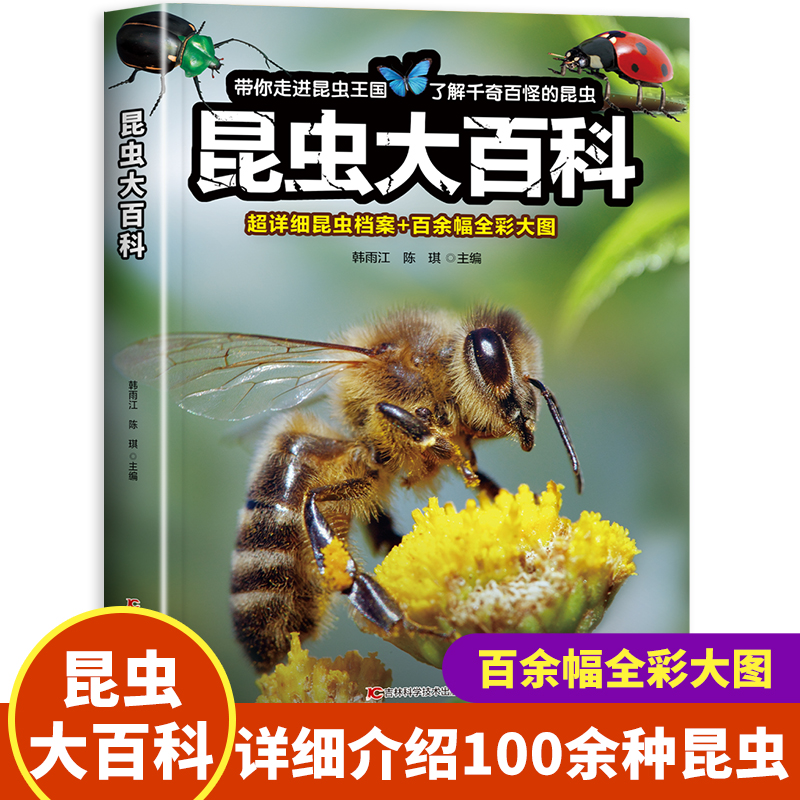 昆虫大百科 昆虫百科全书书籍幼儿绘本认识虫子蝴蝶知识小百科