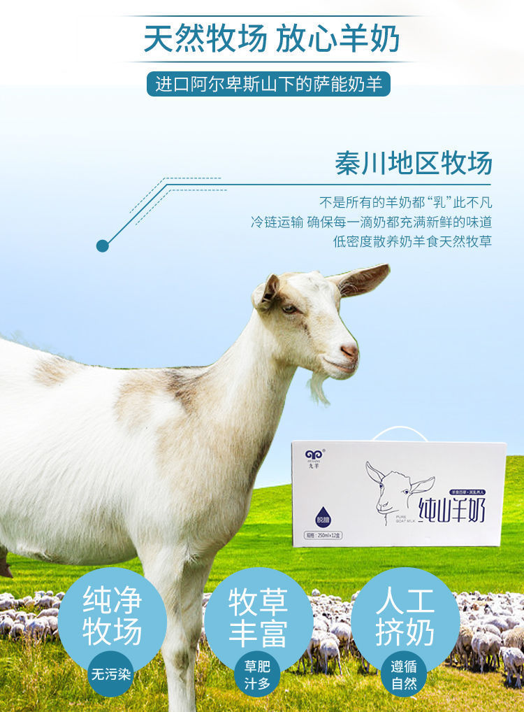 九羊jiuyang纯山羊奶鲜羊奶250ml*12盒老人儿童学生礼盒 日期新鲜