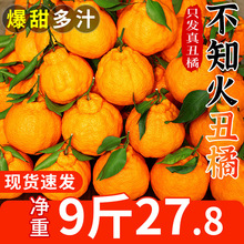 四川不知火丑橘10斤新鲜水果应当季耙耙粑粑桔子丑柑橘子整箱包邮