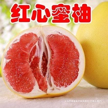 撒星柚子红心福建平和红肉蜜柚管溪红柚多汁薄皮当季新鲜水果整箱