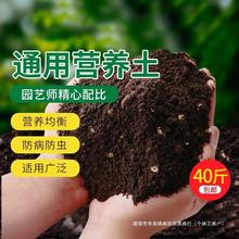 营养土养花通用型种菜种花土壤花肥多肉家用盆栽种植花土发酵爽听