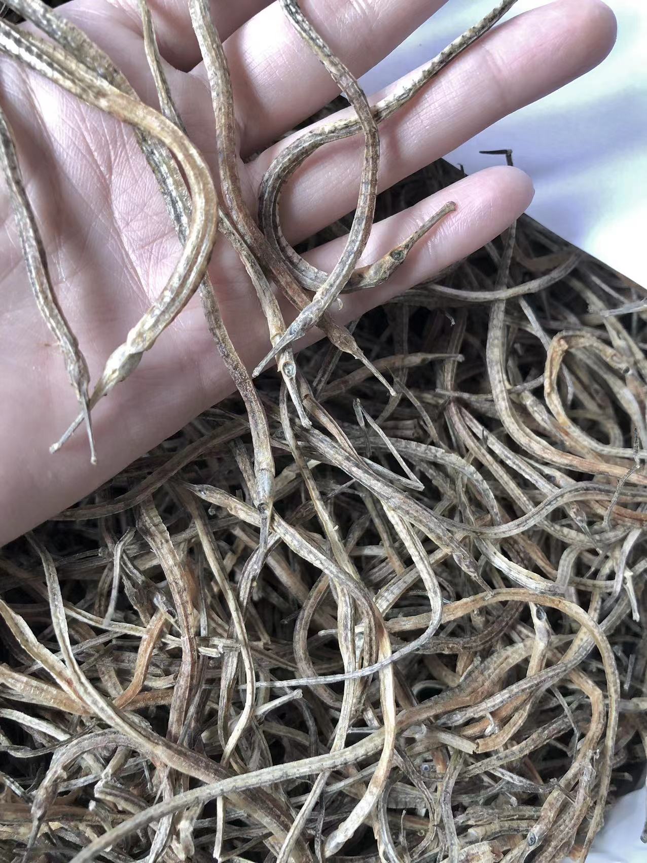 小海龙干货250g煲汤海龙养殖刁海龙中药材泡酒料海龙批发量大价优