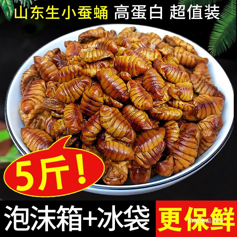 5斤蚕蛹农家新鲜干净桑蚕蛹生小蚕蛹茧蛹子山东特产蛹蝉冷冻包邮
