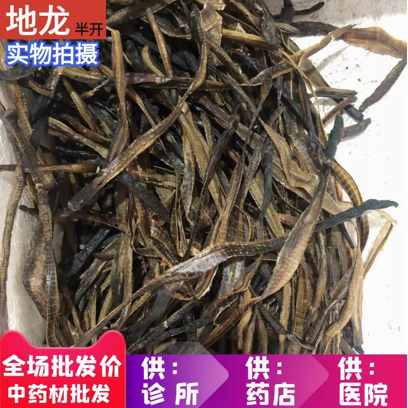 安国材市场批 发广地龙 地龙个子海南地龙个 1公斤 包邮-阿里巴巴