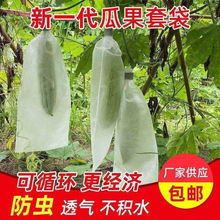 无纺布包瓜苦瓜丝瓜防虫网袋套袋羊角蜜保护袋防针蜂防果蝇专用袋