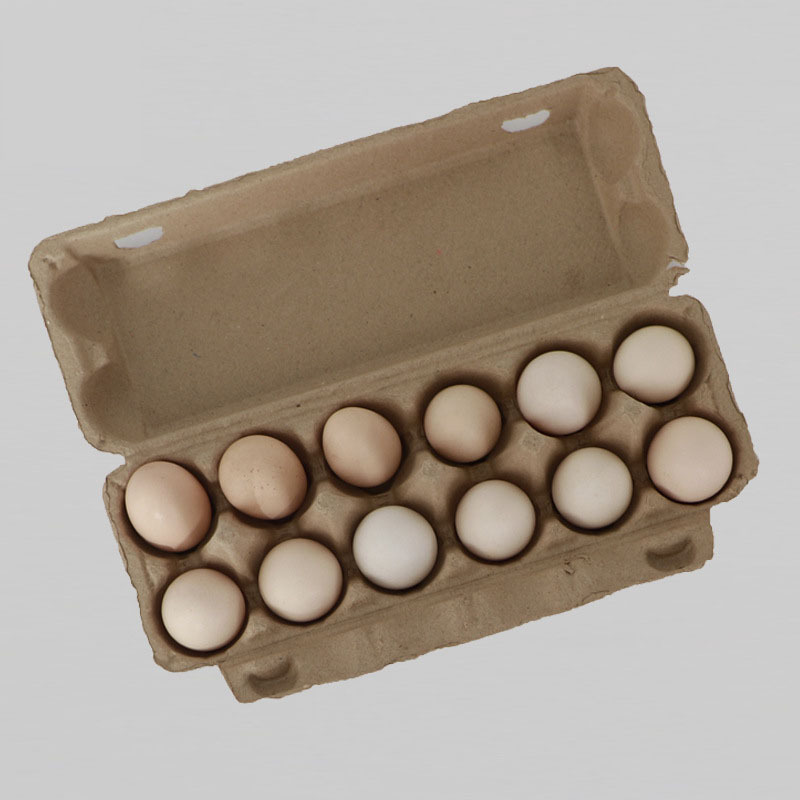 制作加厚12枚纸浆模塑鸡蛋盒包装盒环保防震纸浆蛋托黄色纸托厂家