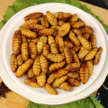 蚕蛹新鲜金丝蛹鲜活速冻蜂蛹山东金丝蛹黄金蝉蛹蚕柞蚕蛹顺丰包邮