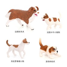 川东猎犬虎头活体幼崽狗泰国脊背犬猛犬邻水狗狩猎犬家养狩猎活物