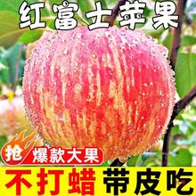 山西红富士苹果水果新鲜应当季脆甜丑萍果整箱5脆甜冰糖心包邮斤