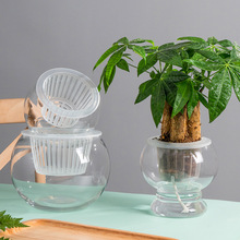 简约创意玻璃花瓶透明水培植物白掌花盆绿萝圆球形鱼缸器皿玻璃瓶