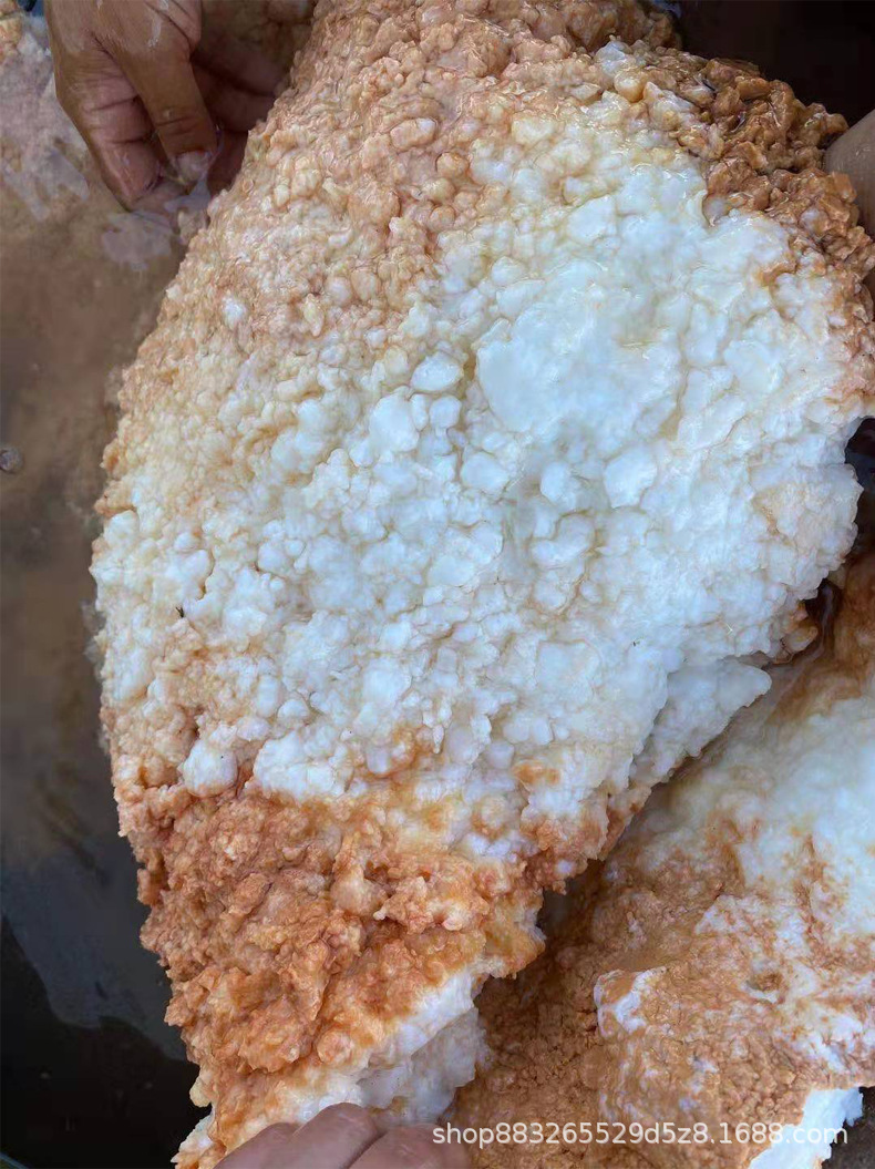 商品描述视频展示储存条件常温营养品种类太岁包装规格石太岁100g适宜