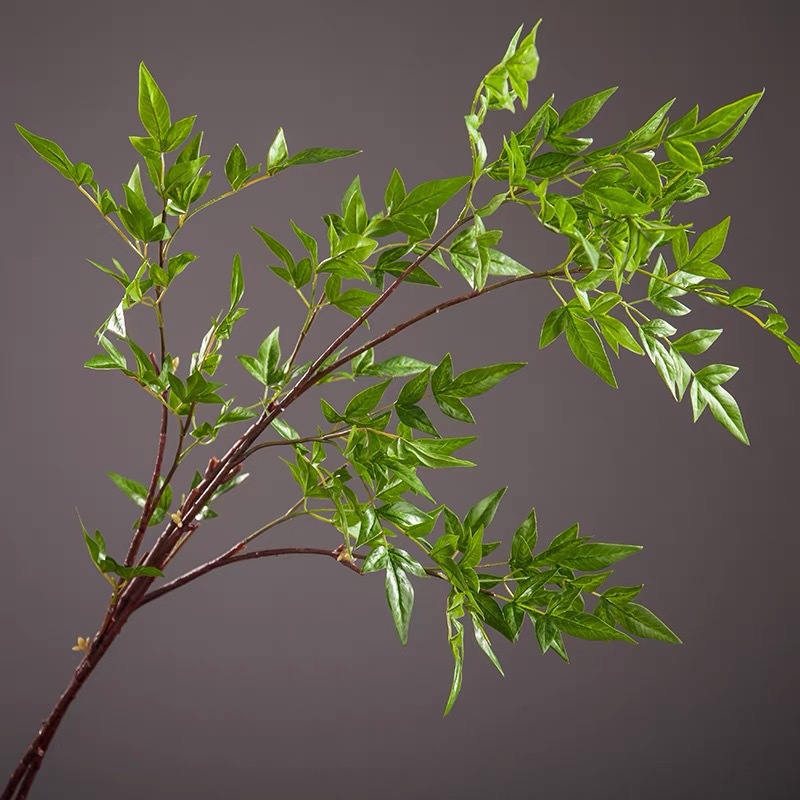仿真南天竹天竺叶九星叶绿叶新中式家居样板间软装插花绿色配材