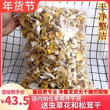 鸡油菌干货一斤装500克 榆黄菌干品云南特产野生菌保障新货好