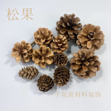 松果干花风干装饰花艺松塔落叶松3-5cm 商场车饰