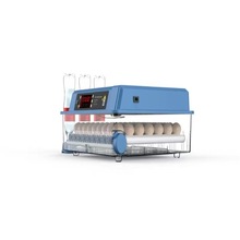 成德 养殖鸡鸭鹅蛋孵蛋家用 小型小鸡孵化器 孵化设备