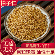 柏子仁中药材野生百伯籽仁泡茶100/250g/500g克可搭酸枣仁