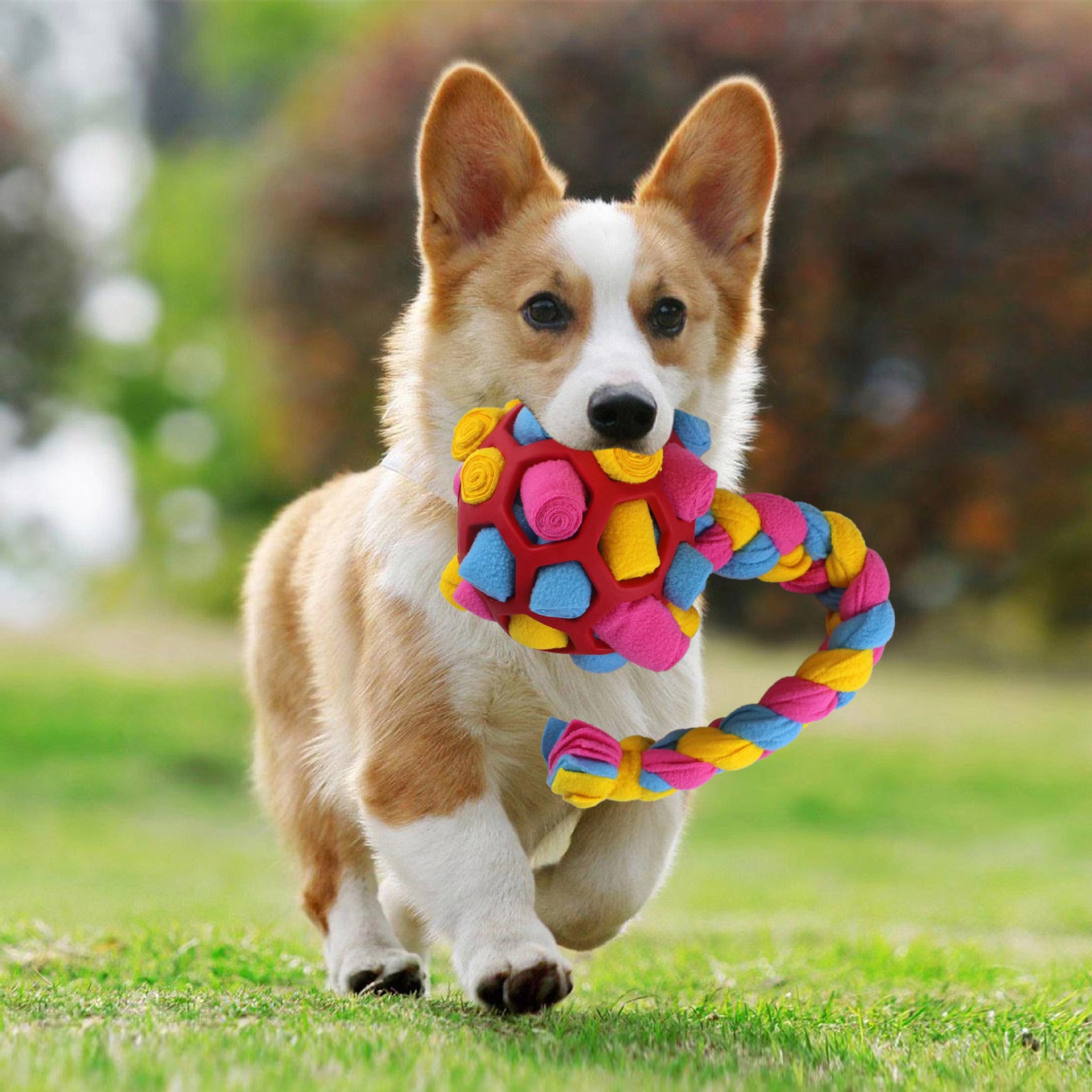 亚马逊新款宠物用品 西式餐桌宠物嗅闻垫 彩虹色防噎食训练闻嗅垫-阿