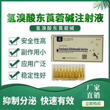 氢溴酸东莨菪碱注射液 兽用6542针剂犬猫猪牛羊用 1ml*10支一盒