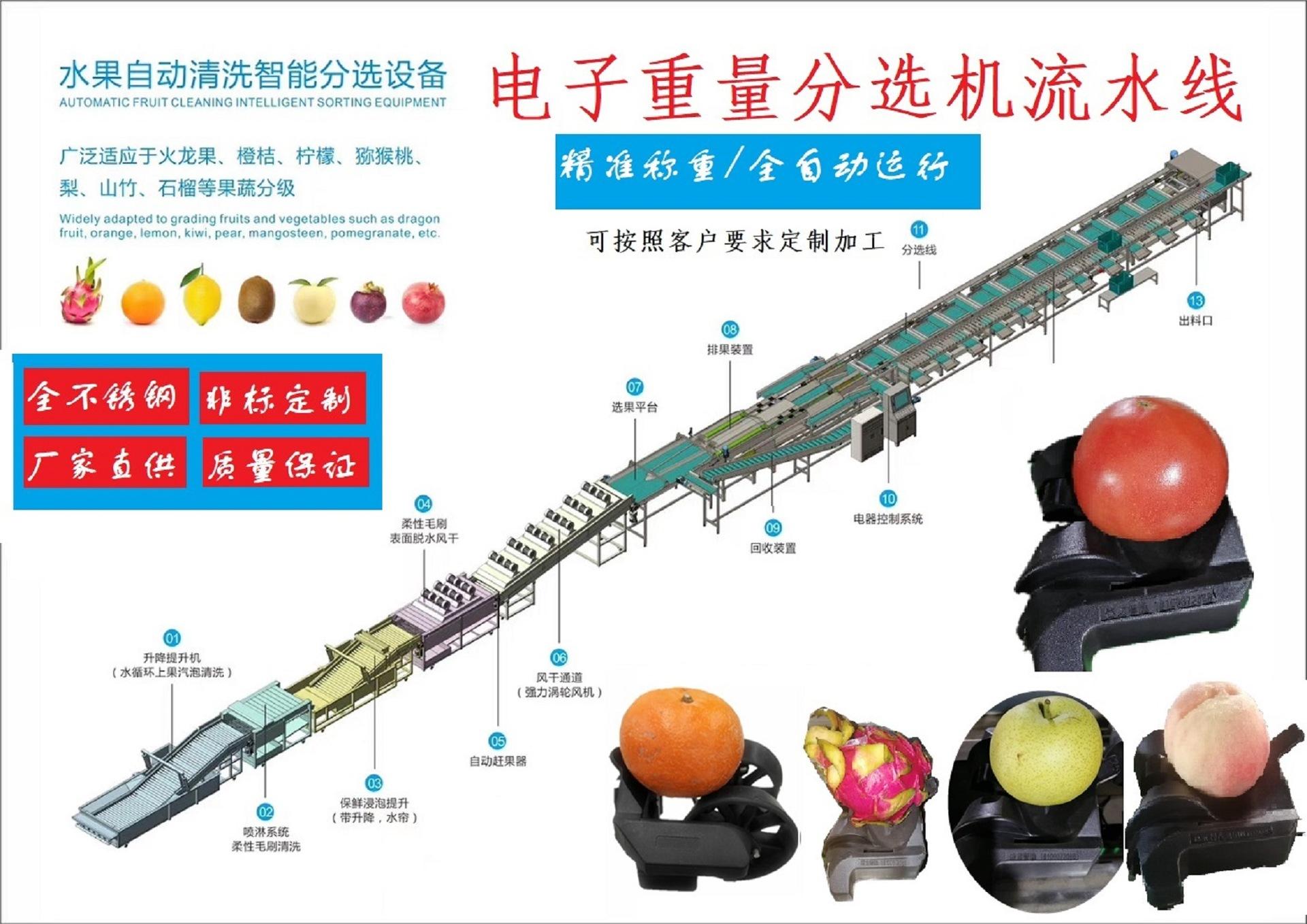 电子智能称重芒果分选机芒果分级机分拣机克重分选机