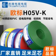 东莞胜牌H05V-K 0.5mm欧标认证电源线 ROHSPVC绝缘护套电线