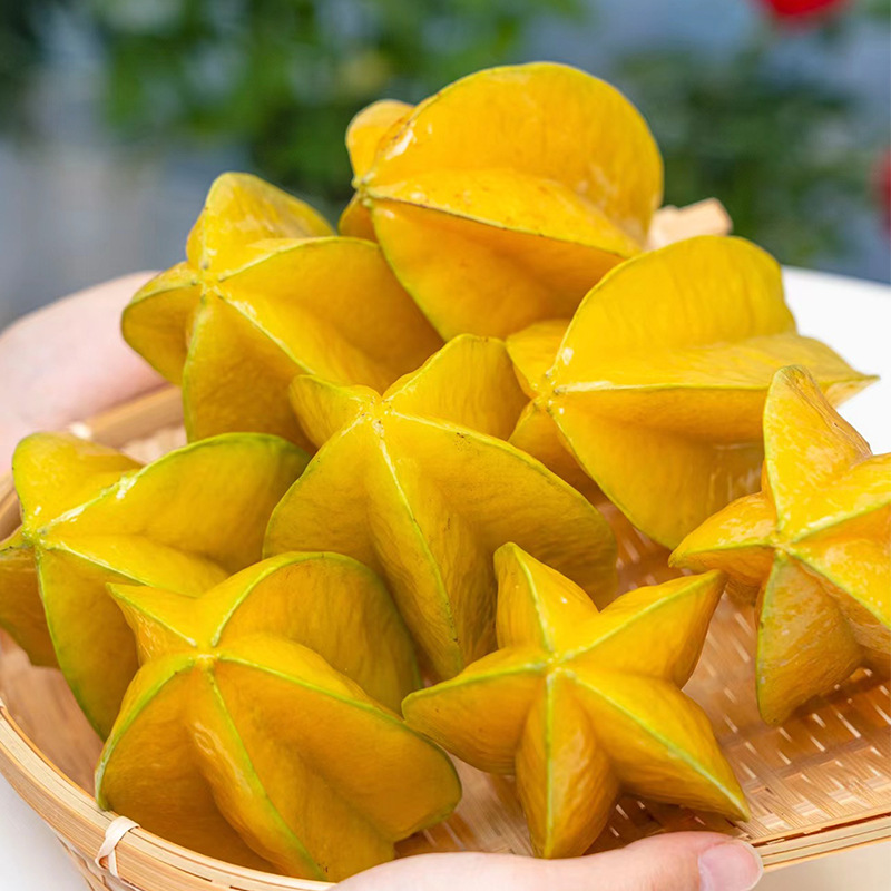 福建树上熟杨桃当季新鲜杨桃现摘现发清甜多汁整箱4.5斤装-阿里巴巴