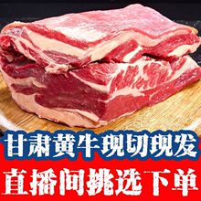 牛肉牛腩甘肃秦川黄牛生鲜肉速冻发货厂家直销独立站厂家批发代发