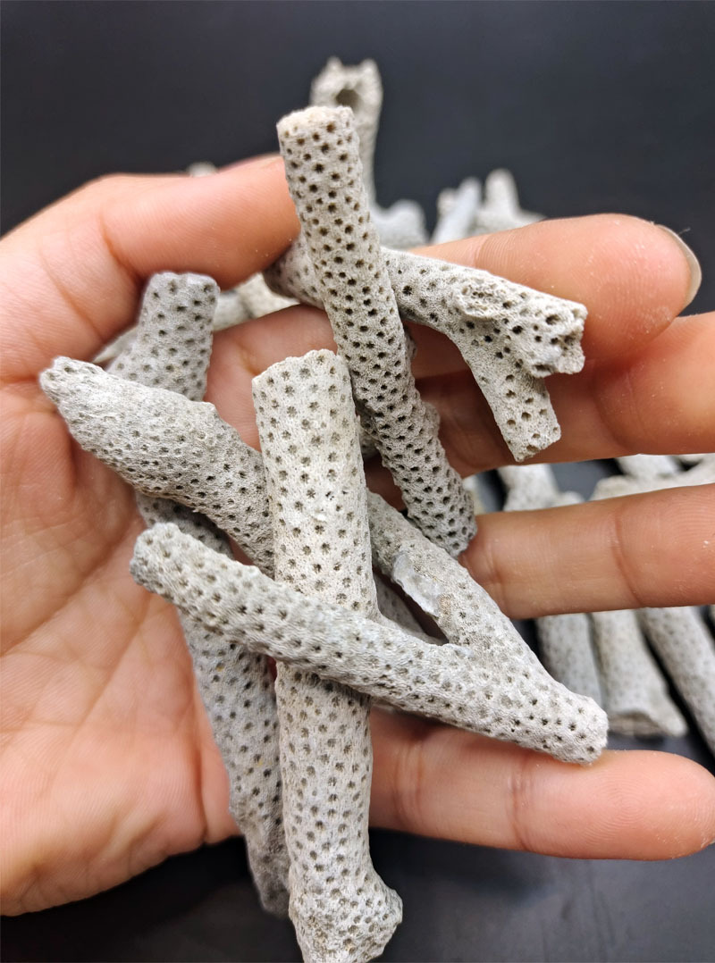 鱼缸过滤材料精选珊瑚骨海鲜池鱼塘养殖过滤珊瑚石ph调节送网袋