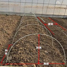 地膜拱杆支架10根防雪保温20根小拱棚圆杆棚架4米弓棚骨架育苗