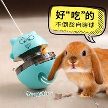 Rabbit boredom relieving toys pet rabbits play stress relief