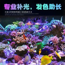 吉印刀锋LEO专业海水补光灯海缸珊瑚缸FOT蓝色发色助长灯珊瑚灯