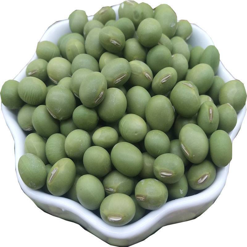 农家小青豆杂粮磨豆浆发豆芽生青豆干青豆五谷杂粮干毛豆绿心青豆