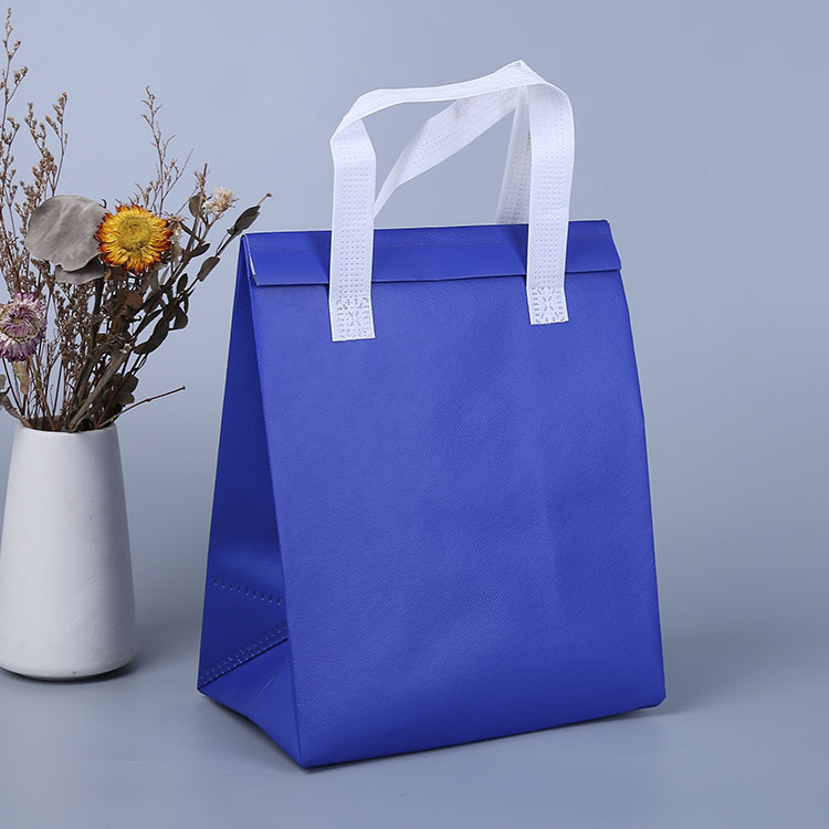 厂家供应无纺布外卖保温袋铝箔手提保温袋蛋糕奶茶保温包印logo