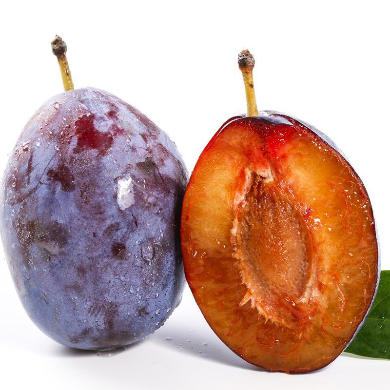 西梅汶川高山西梅李子加州引进高端水果净重4斤包邮鲜甜果园直发