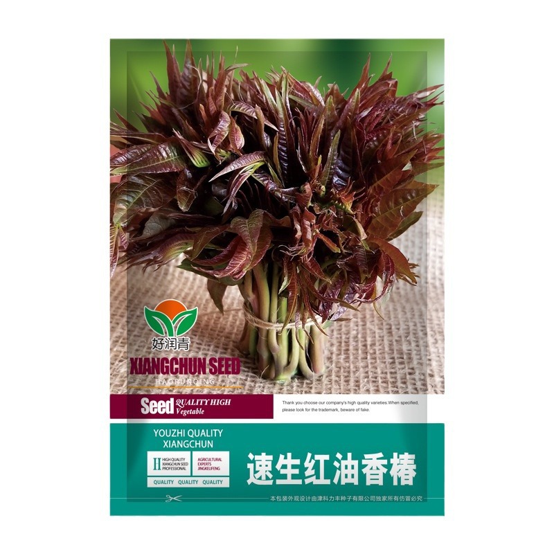 Factory Wholesale Fast-Growing Red Oil Toona Sinensis Seeds Four Seasons Balcony Potted Sprouts Toona Sinensis Sprouts Vegetable Seeds Rapeseed