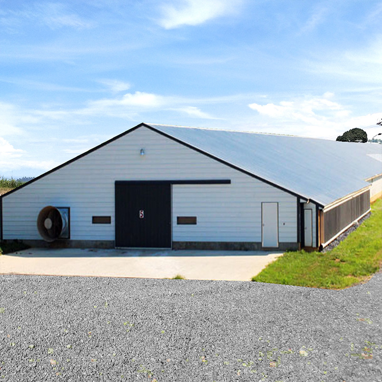 钢结构家用养鸡笼 养殖棚户外防雨鸟笼鸽子笼特大鸡窝鸡棚-阿里巴巴