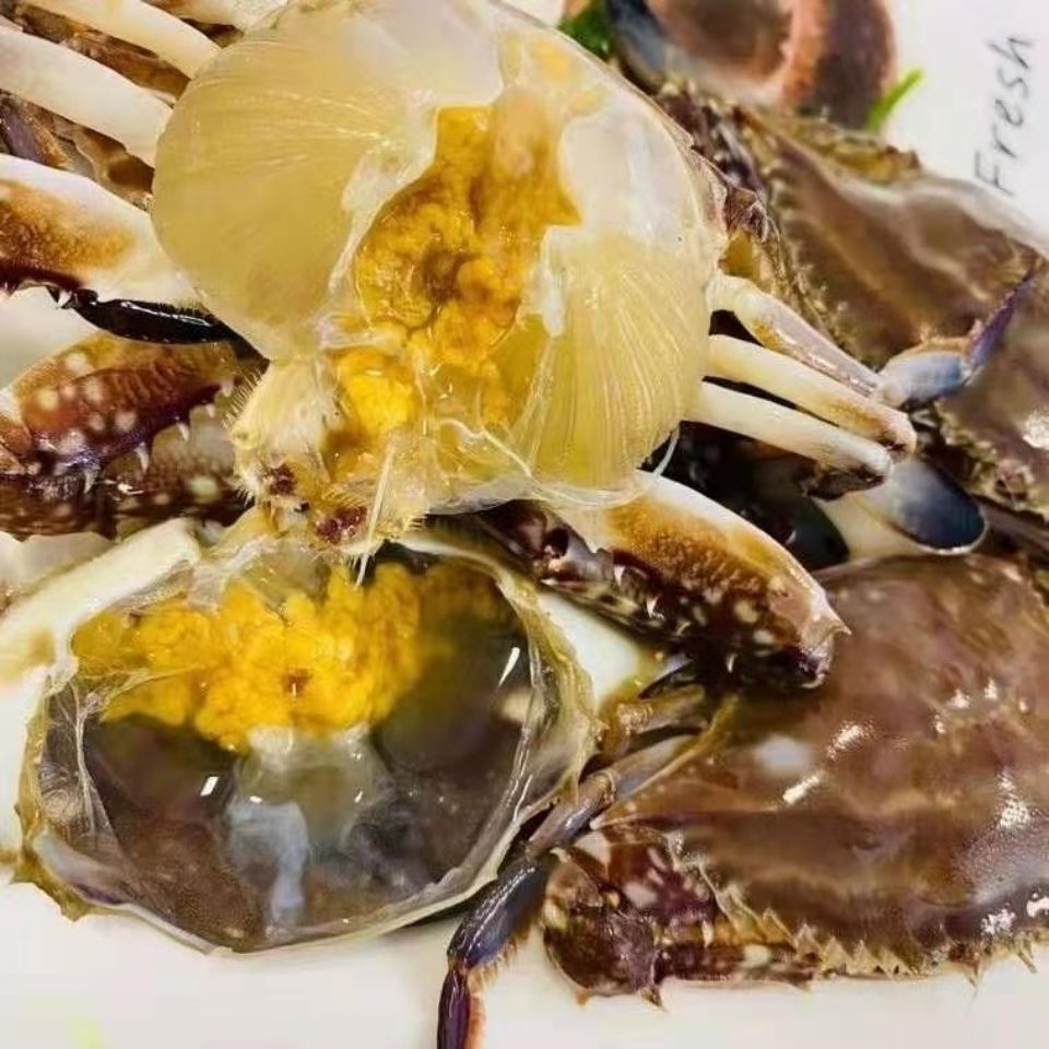 鲜活腌制二母蟹丹东梭子蟹醉蟹盐卤螃蟹即食海鲜咸蟹呛蟹塑料盒塑