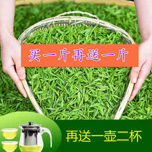 绿茶买一斤再送一斤日照充足新茶绿茶毛尖炒青茶叶250厂一件批发