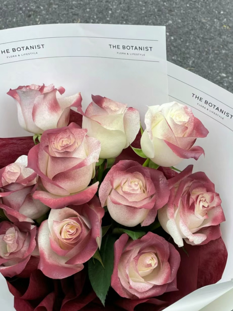 复古喷色凡尔赛玫瑰花鲜花基地直发家用插花花束新年真花女神节花