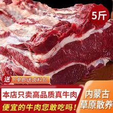 牛肉内蒙古原切牛腩肉新鲜黄牛肉生牛腿肉10斤批发商用2.5斤跨境