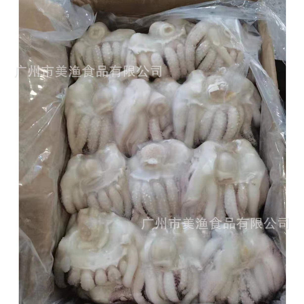 单冻墨鱼头野菊花 墨鱼须速冻海鲜生制品口感脆爽批发用的10kg/箱