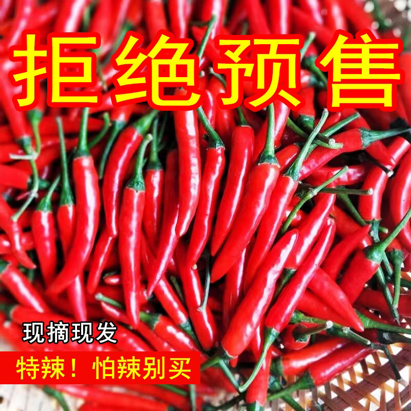 云南小米辣椒新鲜泡椒农家小米椒朝天辣椒指天椒鲜红辣椒尖椒10斤