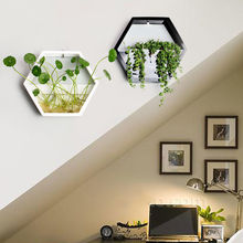 客厅墙面装饰品田园墙壁装饰挂件水培植物绿萝创意壁挂挂墙花盆